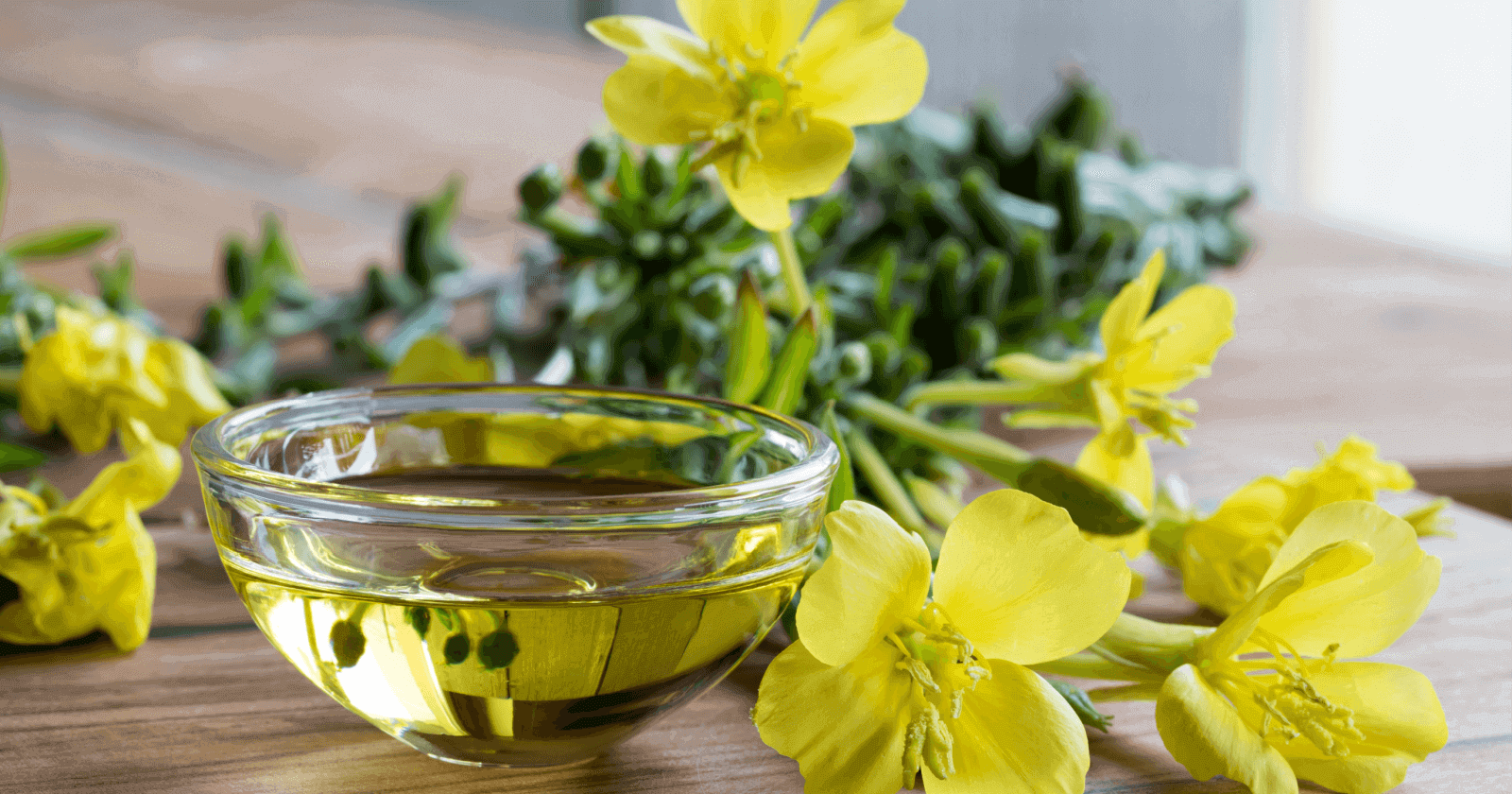 Evening Primrose Oil