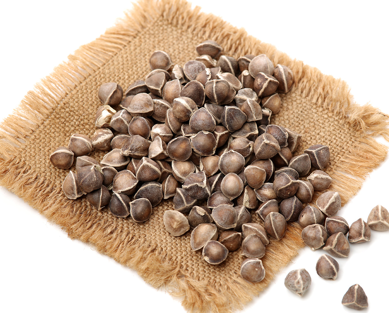 Moringa Seed Extract