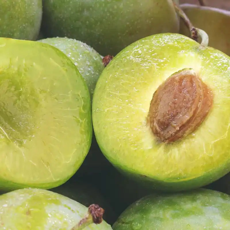 Kakadu Plum Extract