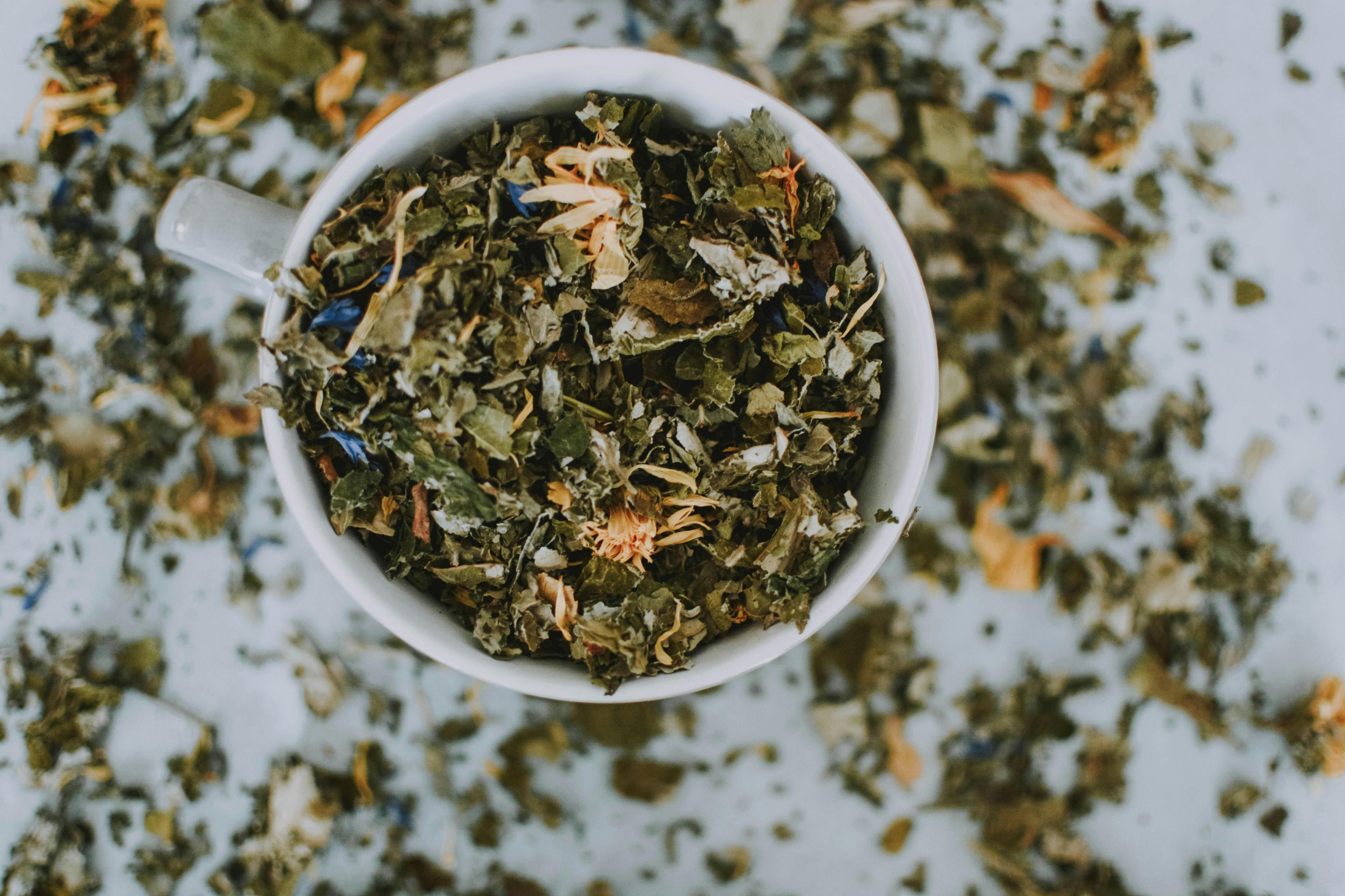 Green Tea Leaf Extract